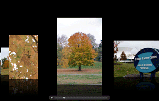 Apple's Mobile Me Gallery is a good web design example of an effective slideshow