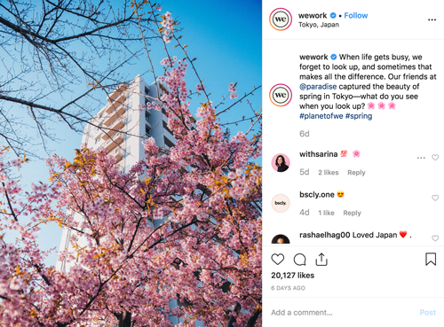You've Got the Look: How Small Businesses Can Use Native Advertising for Instagram Success